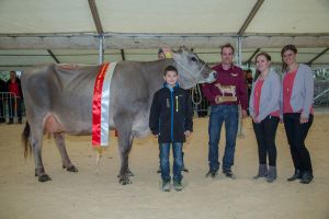 Champion Jongleur Joya 3